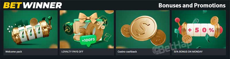 Todo lo que necesitas saber sobre Betwinner apuestas 5