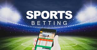 Betting on Lesser-Known Sports 15