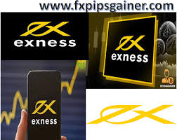 Understanding Exness Payment Methods for Traders Understanding Exness Payment Methods for Traders